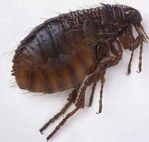 請(qǐng)?zhí)砑訄D片