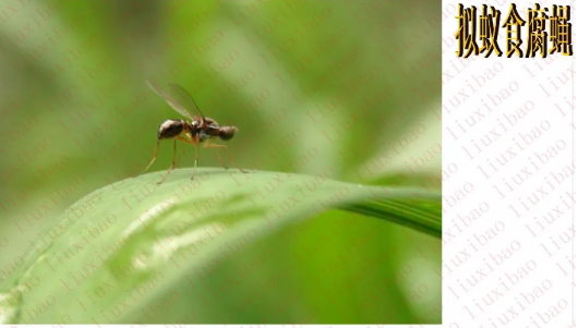 請(qǐng)?zhí)砑訄D片